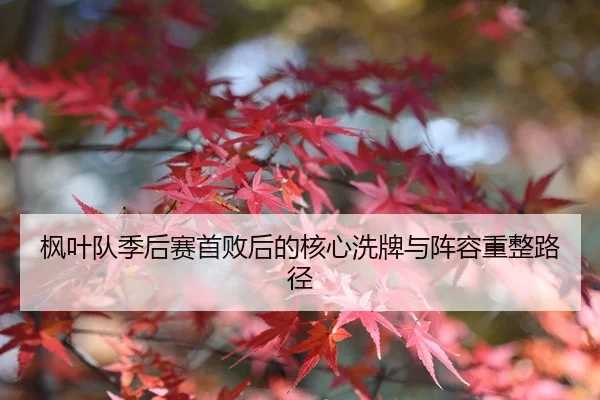 枫叶队季后赛首败后的核心洗牌与阵容重整路径