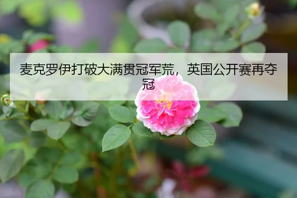 麦克罗伊打破大满贯冠军荒，英国公开赛再夺冠