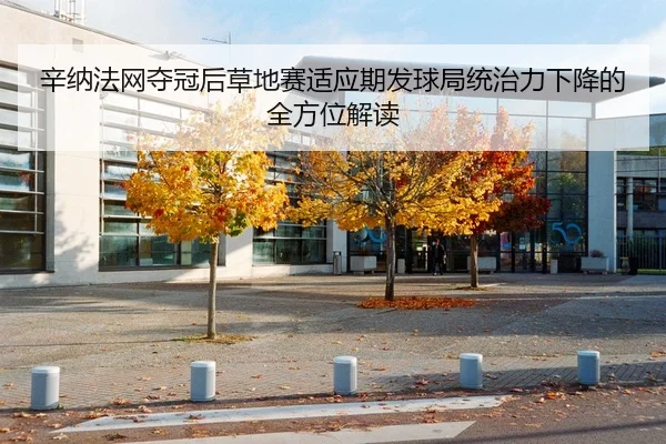 辛纳法网夺冠后草地赛适应期发球局统治力下降的全方位解读